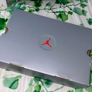 Air Jordan 13 retro